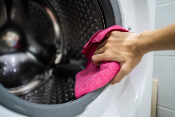 Best Mold Odor Removal Services  in Lake Mary Jane, FL