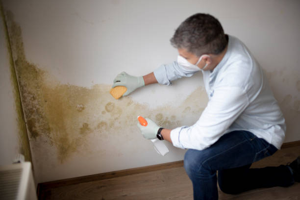 Best Commercial Mold Inspection  in Lake Mary Jane, FL