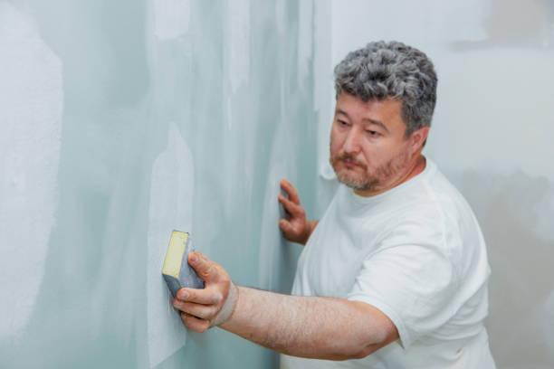 Best Mold Damage Restoration  in Lake Mary Jane, FL
