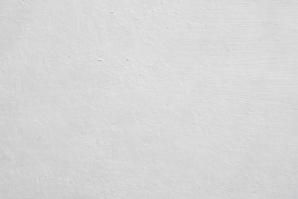 Mold Documentation for Insurance Claims in Lake Mary Jane, FL